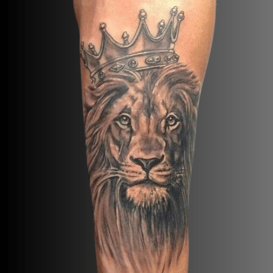 Crown Lion Tattoo