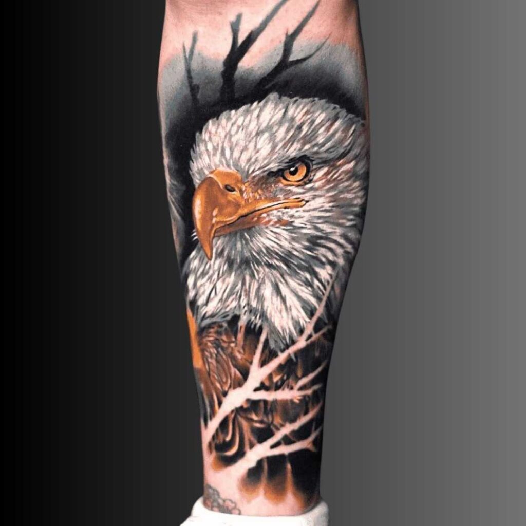 Realistic Bald Eagle Portrait Tattoo Design